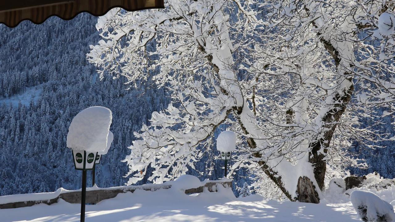 Отель Gasthof Lamprechtbauer Kotschach-Mauthen Экстерьер фото